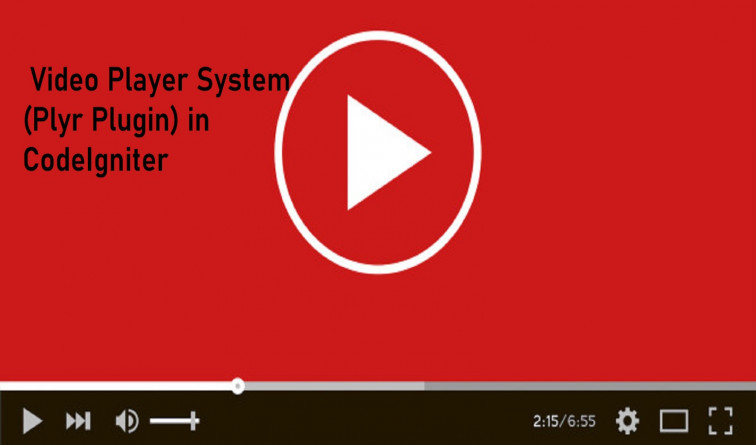 Plyr Video Player System